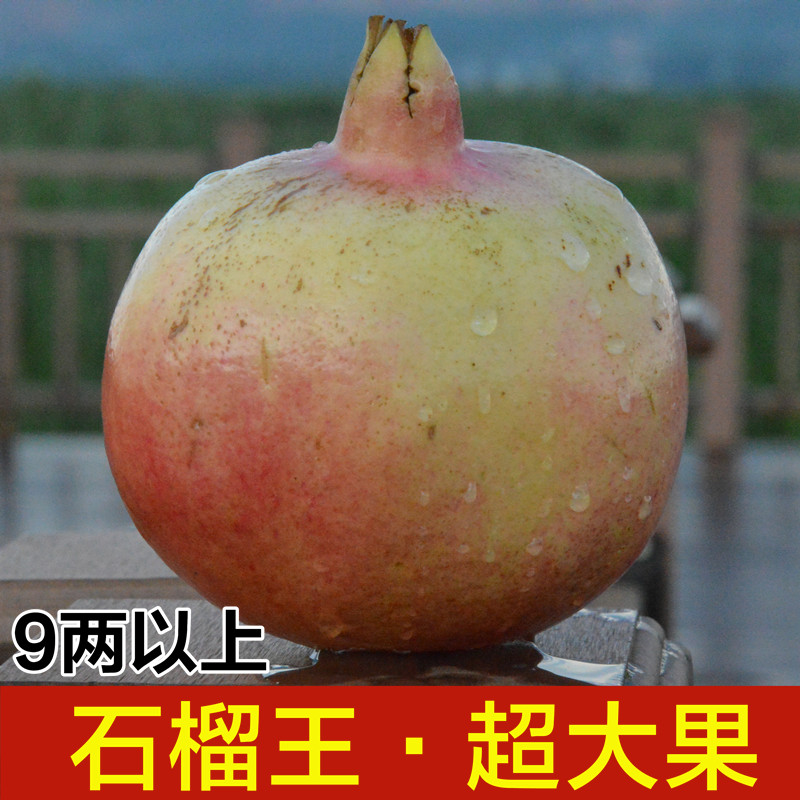 超大石榴王  现摘云南蒙自老树甜石榴 9两以上大果9斤8-9个礼盒装