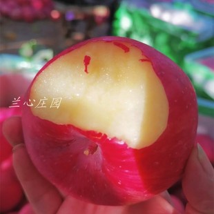 费 免邮 脆甜10斤整箱精品 甘肃庆阳红富士苹果非烟台陕西新鲜水果当季