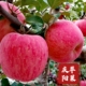 包邮 甘肃庆阳红富士苹果脆甜冰糖心新鲜水果当季 果园直发自家果园