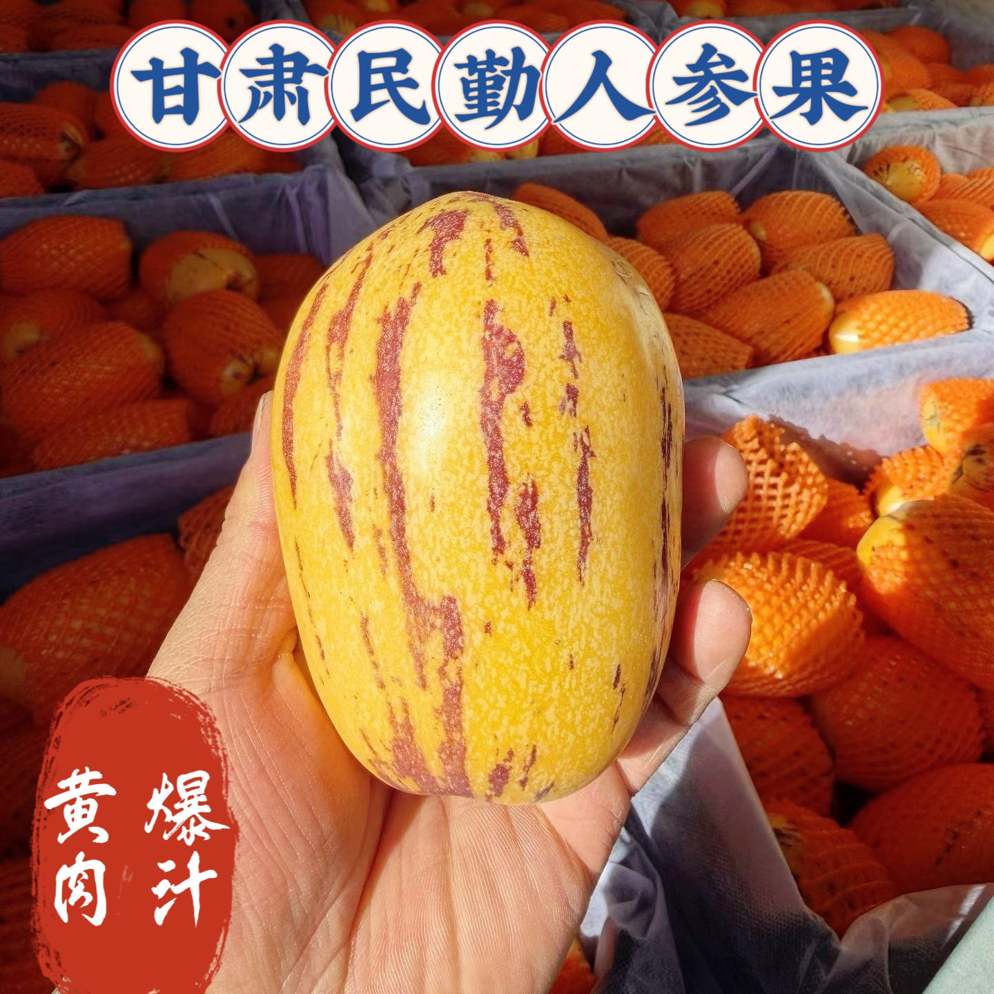 清甜头茬人参果 黄肉孕妇可食 新鲜水果甘肃民勤产地包邮直发
