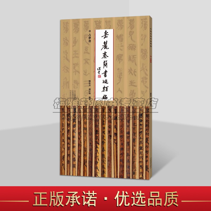 岳麓秦简书迹类编:占梦书 中国古代秦朝竹简文字书法帖墨迹秦简牍书法创作临摹范本 河南美术出版社