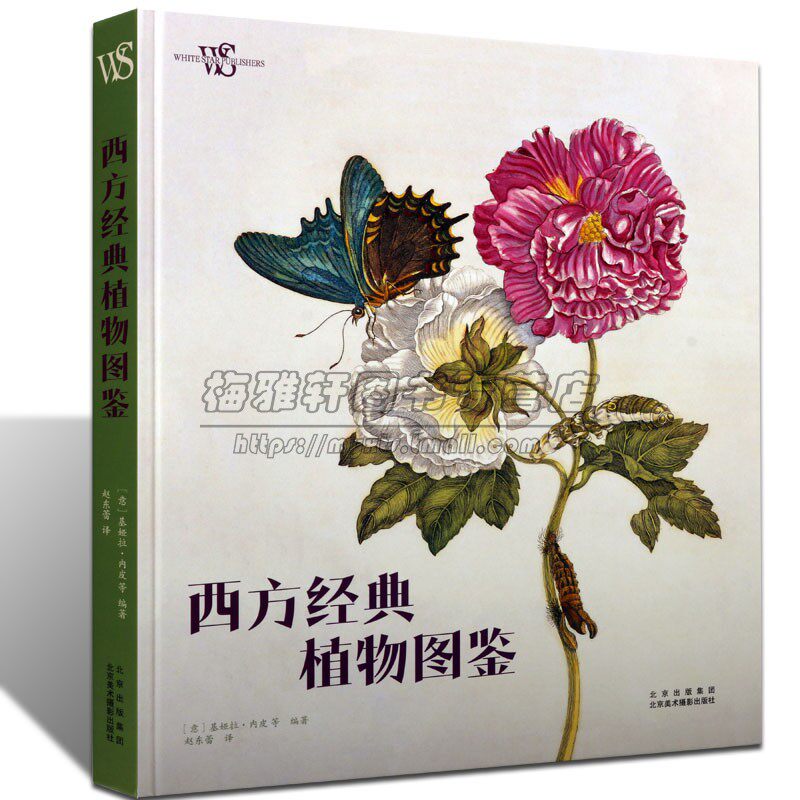 经典花卉植物图鉴艺术识别图鉴图典植物图册植物百科常见了解介绍花卉花艺花草绘画插图素材研究大全花艺的书籍