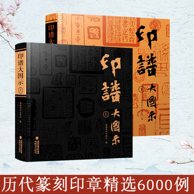 印谱大图示上下2册 篆刻印谱工具字典书6000余方古今印谱 汉官印/汉私印/道家/火烙/鸟虫书印 印章篆刻临摹工具参考书印谱篆刻收藏
