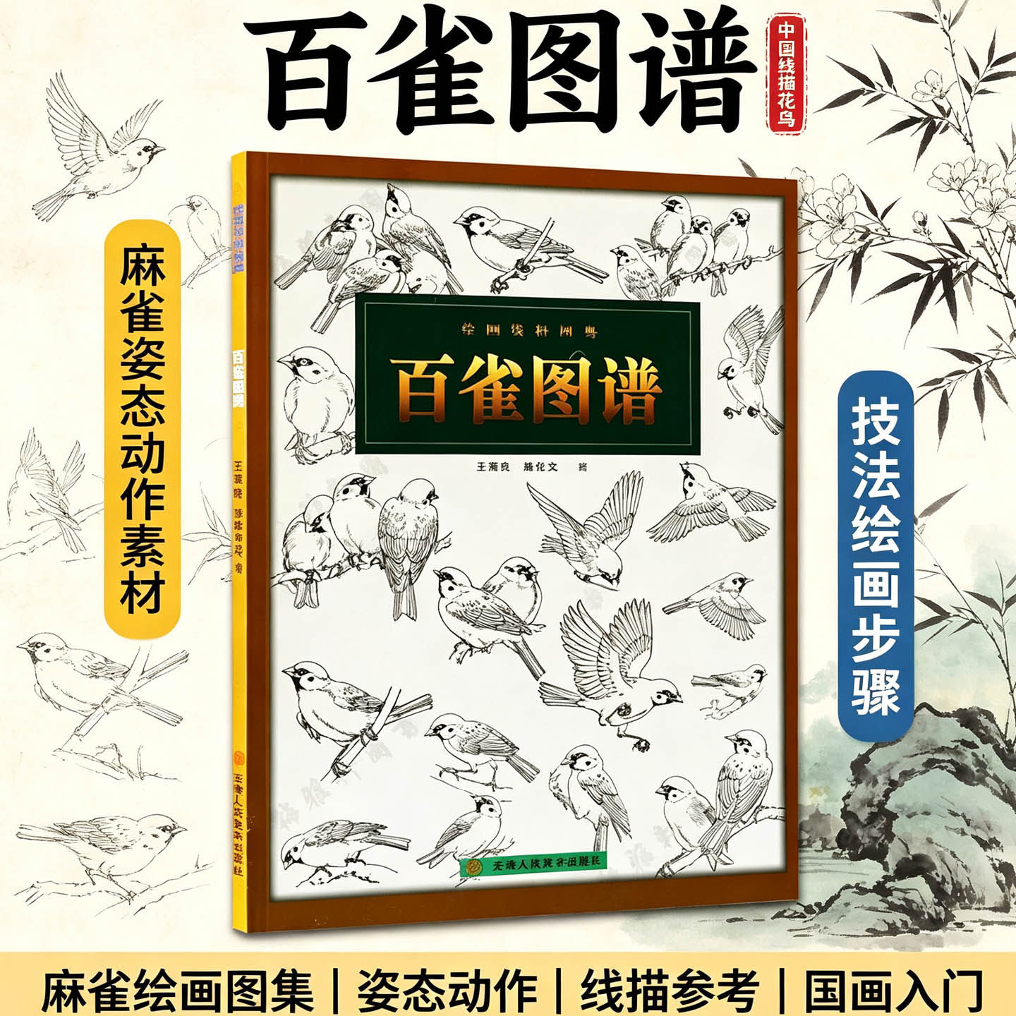 麻雀姿态动作素材百雀图谱 绘画麻雀家雀黄雀鸟类工笔白描线描画资料素材工笔画麻雀绘画姿态动作变化解剖雀图谱写画法技法书籍
