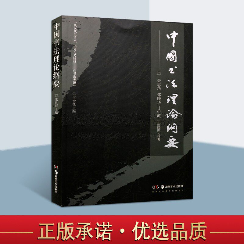 中国书法理论知识纲要书论著述技法原理书学思想书法艺术研究历代经典