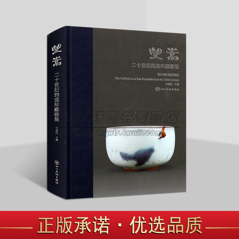 望嵩二十世纪钧瓷珍藏雅集 中国古代钧窑瓷器传世鉴赏各朝官窑陶瓷历史研究鉴赏 中国陶瓷图集文物书籍四川美术