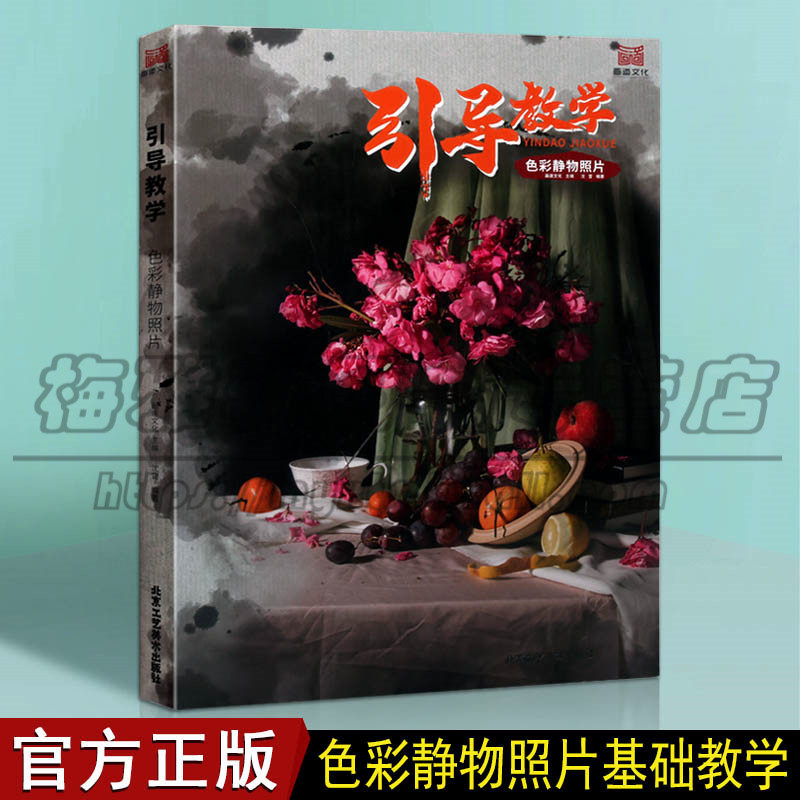 正版引导教学色彩静物照片 2020画道文化沈雷单体组合水果蔬菜花卉器皿杂物黑白照片写生美术高考联考美院教材 北京工艺美术书籍