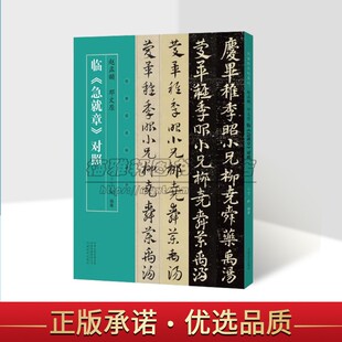 名家临名帖系列 赵孟頫 邓文原 临急就章对照 丁林 著 中国元代章草书法字帖名家毛笔字体技法临摹鉴赏范本书籍 河南美术出版社