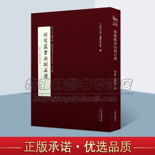 清代汉字书法 现存祁寯藻书法刻石目录 三晋出版 刘长海刘维东编 社 书籍小说畅销书籍 山西历代书法 正版 祁寯藻书法刻石选 精装