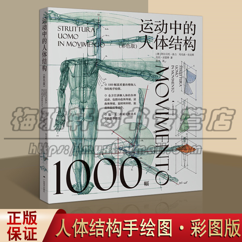 1000幅高质量的精细人体结构手绘图