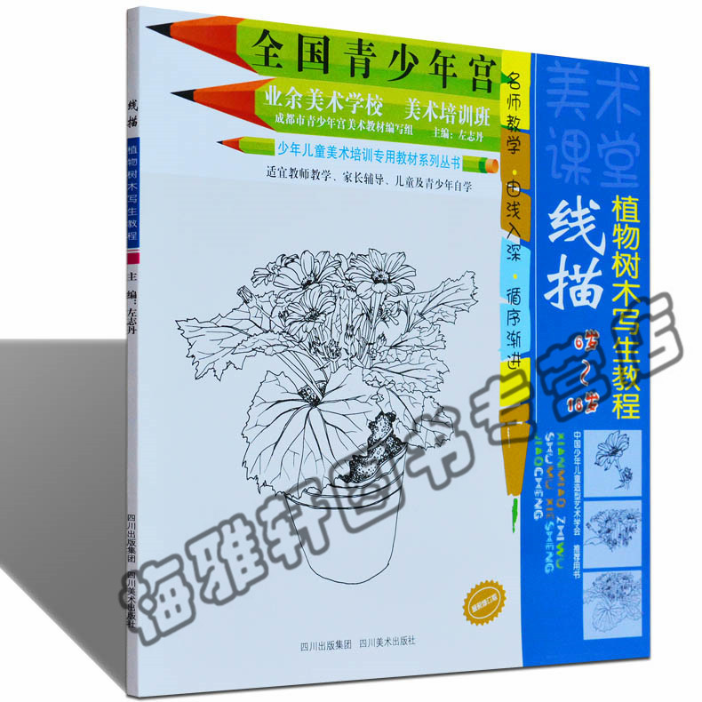 正版 线描植物树木写生教程 全国青少年宫美术基础培训班同步系列教材教程绘画美术教学专业儿童青少年中小学生入门自学零基础书籍