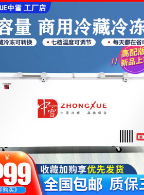 中雪单温茶叶鲜肉柜冷冻柜大容量