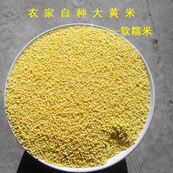 山西特产糯米农家自种新大黄米软糯米黏米端午节粽子蒸肉黄米包邮