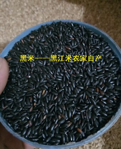 黑米黑江米农家五谷杂粮米粥放心