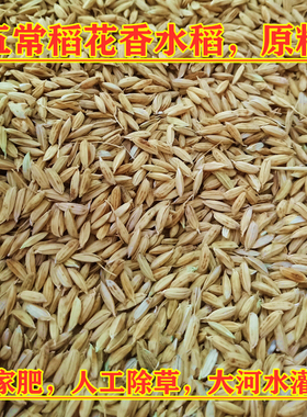 五常稻花香水稻 原粮100斤 自己磨米 农家米50kg 新稻子 东北地区