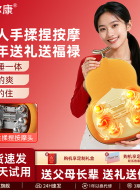 乐尔康颈椎腰部背部按摩靠垫仪器