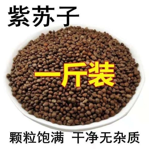 中药材 紫苏子 带壳 野苏子籽 黑苏籽  药用