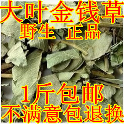 野生金钱草广东中药材