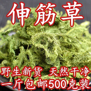中药材伸筋草舒筋草批发筋骨草狮子草正品新货石松舒筋500克包邮