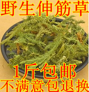 伸筋草 中药材 舒筋草 伸筋草 透骨草 石松狮子草500g包邮