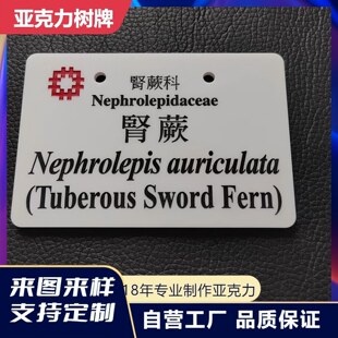 白色亚克力板雕刻凹字填色标识牌刻字花草标牌植物牌有机玻璃定制
