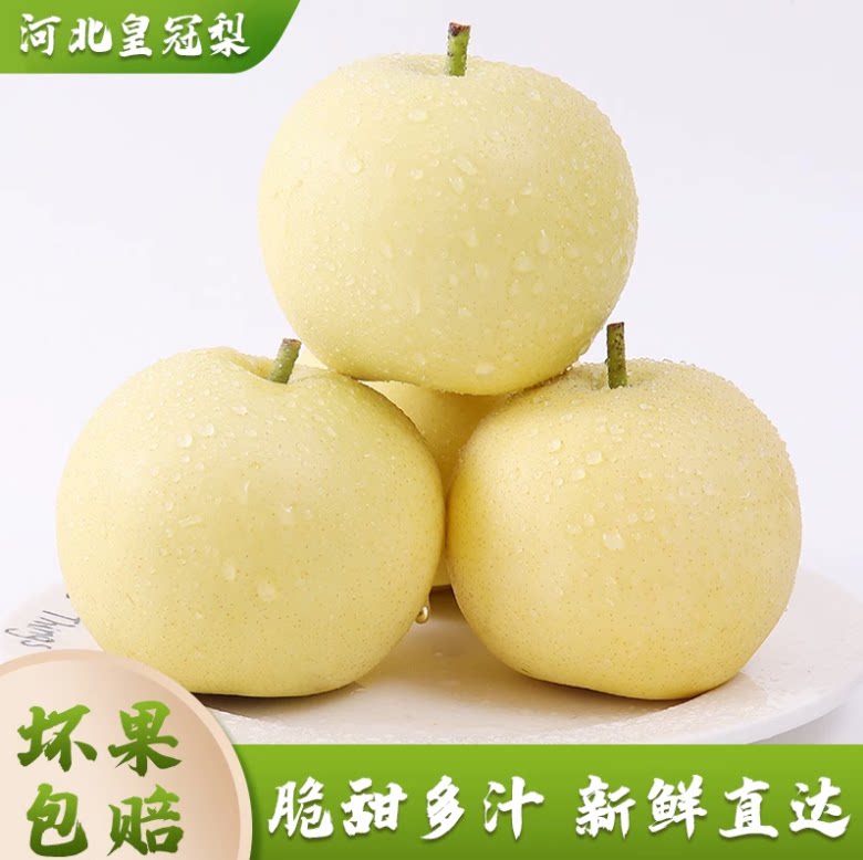 河北皇冠梨鸭梨水果手工精选特色新鲜砀山梨孕妇水果赵县斤装大果 - 实物图