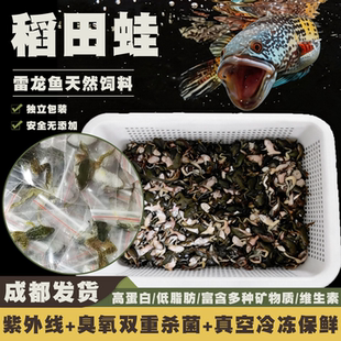 冷冻稻田蛙雷龙鱼专用饲料黄金眼镜蛇雷龙高钙鱼粮猛鱼高蛋白鱼食