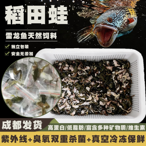 冷冻稻田蛙雷龙鱼专用饲料黄金眼镜蛇雷龙高钙鱼粮猛鱼高蛋白鱼食