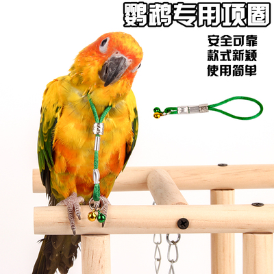 鸟用脖绳脖套铃铛鹦鹉脚环链/ 画眉黄鹂蜡嘴伯劳八哥/绳/锁/脖/套