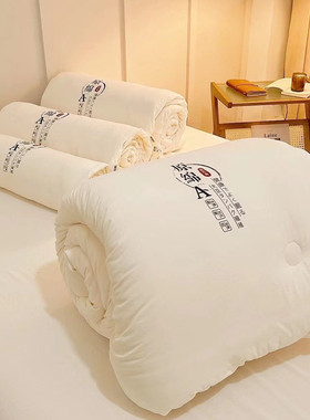 超柔软A类大豆纤维被子棉被芯学生春秋被夏凉被冬被加厚四季通用