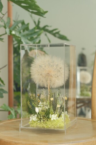 未满摆件永生花吹不飞的蒲公英