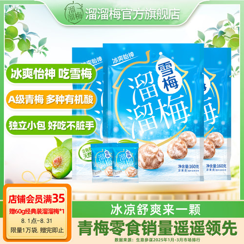 溜溜雪梅160g休闲零食