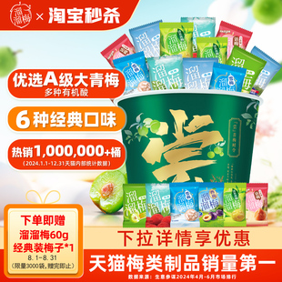 溜溜梅全家桶西梅干話梅烏梅酸青梅子果脯零食 下拉詳情享優(yōu)惠