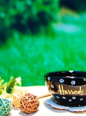 英式下午茶harrods外贸陶瓷套装马克杯情侣杯咖啡杯美式拉花骨瓷