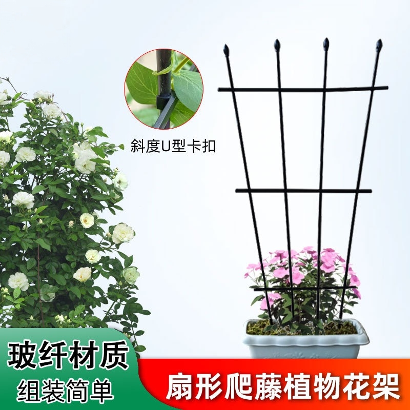 园艺扇形固定月季蔷薇植物爬藤架