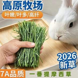 26年进口提摩西草兔子龙猫荷兰猪自然晒干主食饲料龙猫草粮批发