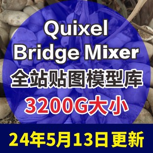 UE4 quixel Bridge高清贴图模型材质8K 3DMAX效果图 Megascan C4D