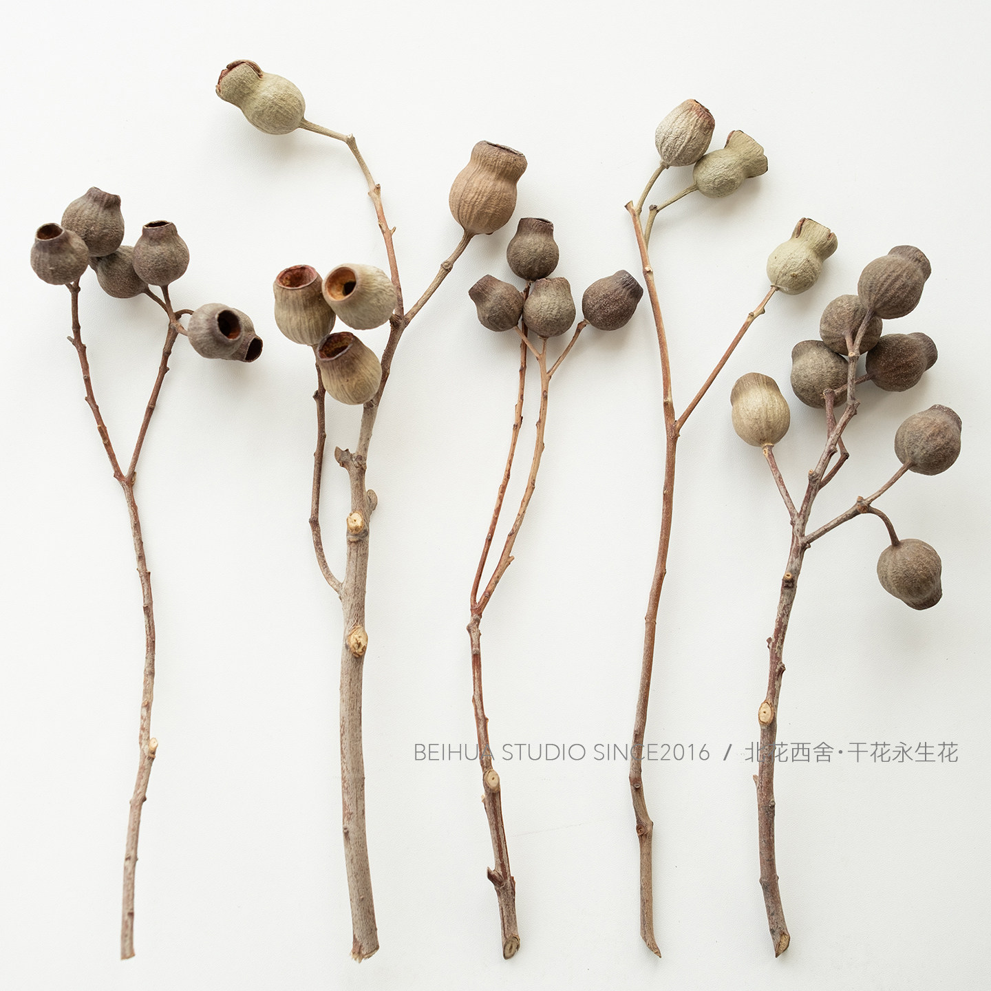 复古拍摄道具干花果摆件插花素材