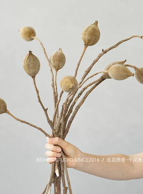 禅意民宿天然真花木荷干花新中式