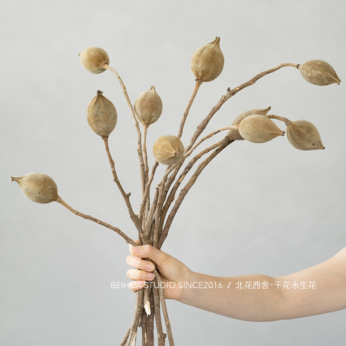 禅意民宿天然真花木荷干花新中式