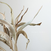 饰摆件树枝轻奢创意ins插花陈列软装 叶子装 配花 个性 天堂鸟叶干花