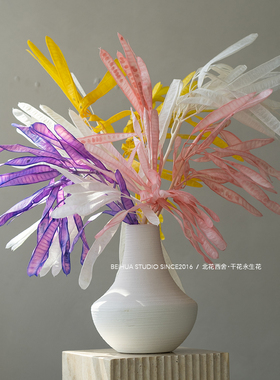 永生花扁豆花束豆荚诧寂干花花材