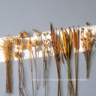 文艺复古咖色系干花材自然质朴永生花束拍摄布景小众持久观赏花艺
