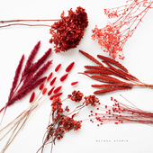 红色年宵花卉永生花植物大全干花拍照直播情人节客厅室内新年装 饰