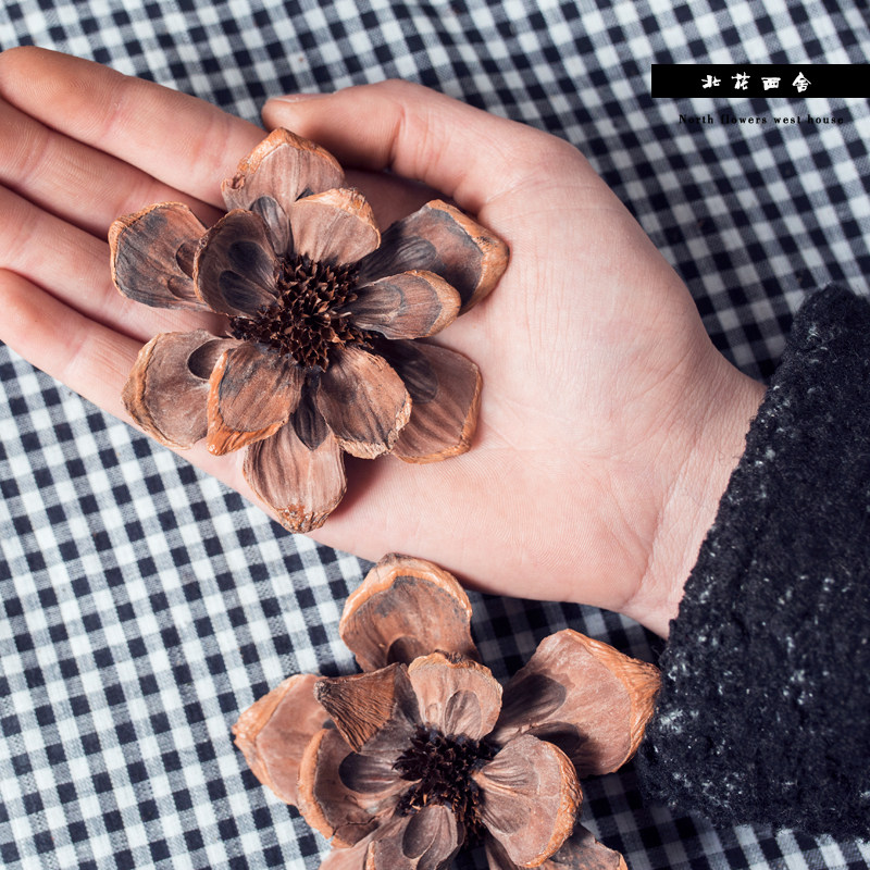 文艺曼陀罗花松果花创意艺术手工制作装饰干花松瓣花拍照摆件道具