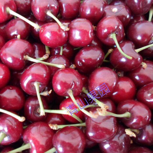 山东烟台产区直销新鲜大樱桃水果  新鲜车厘子水果 5斤包邮