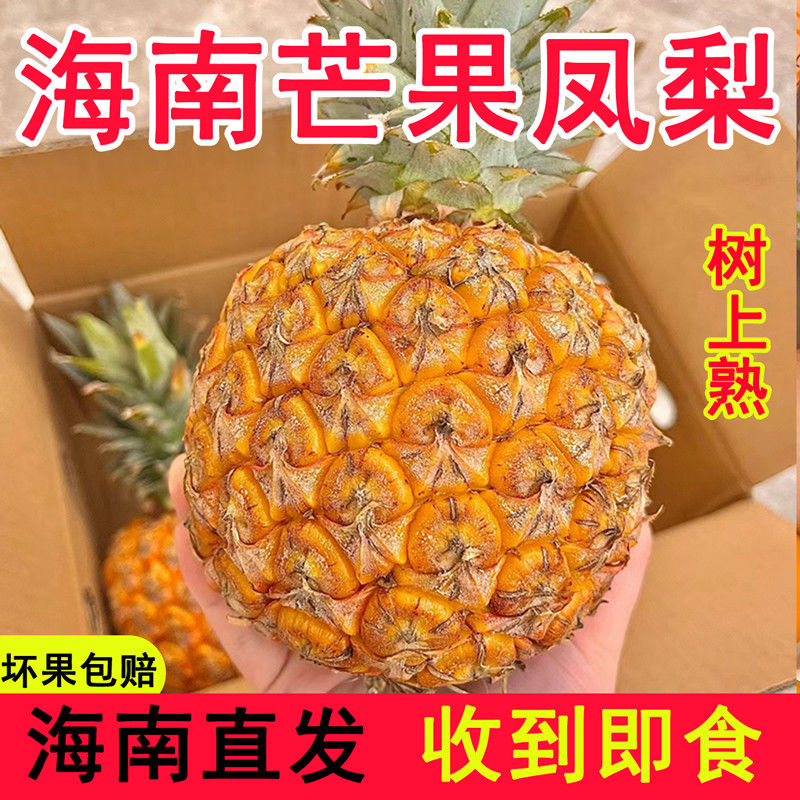 海南芒果凤梨脆甜多汁芒果香味凤梨海南金钻凤梨现摘现发