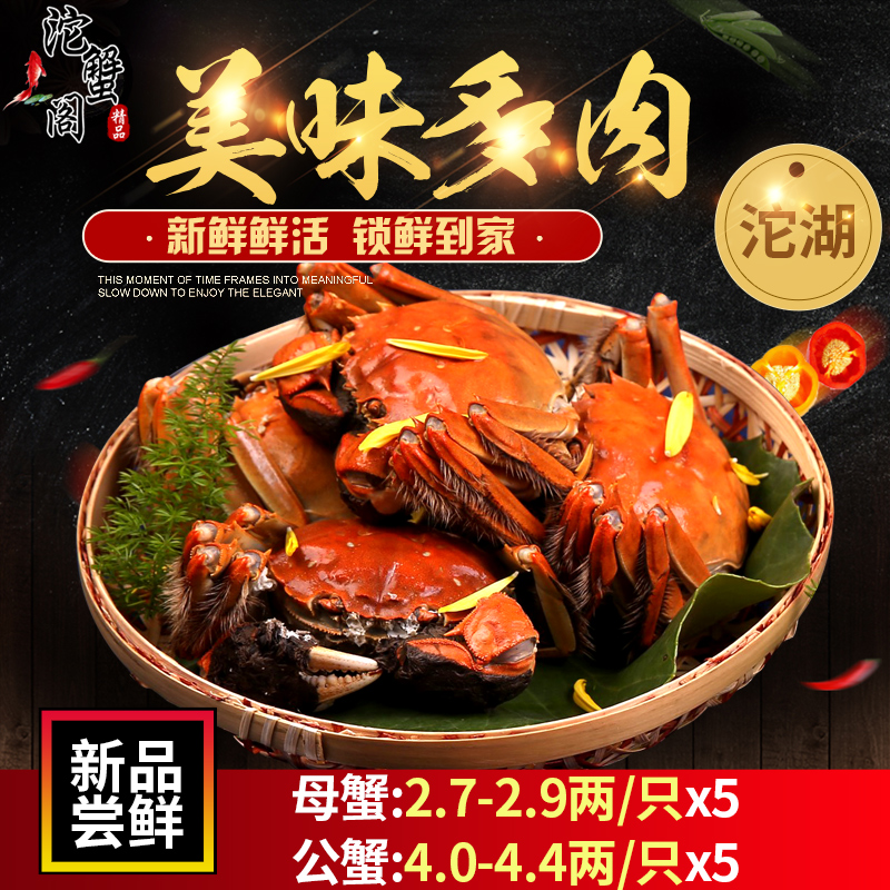 沱蟹阁大闸蟹十只装公母搭配五河沱湖螃蟹现货鲜活买十送一