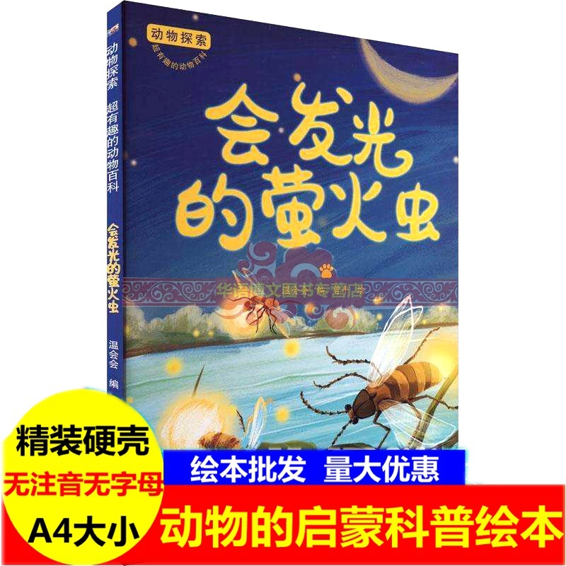 硬壳 会发光的萤火虫绘本 幼儿园关于动物探索有趣的动物百科科普绘本小蜜蜂嗡嗡嗡七星瓢虫觅食记蚂蚁大家族毛毛虫变成了蝴蝶绘本