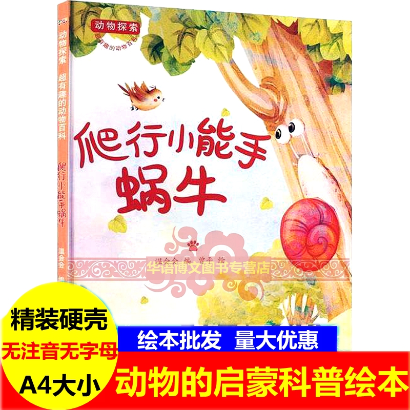 爬行小能手蜗牛动物探索-